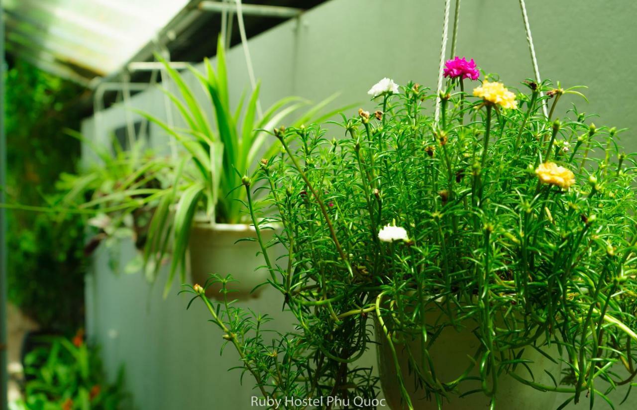 Ruby Phu Quoc Hostel المظهر الخارجي الصورة